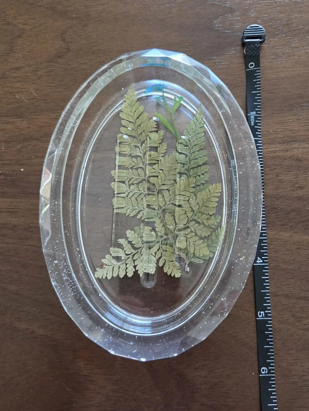 Oval Nature Themed  Soap Dish - Clear  with Green Leaves/Blue Flower